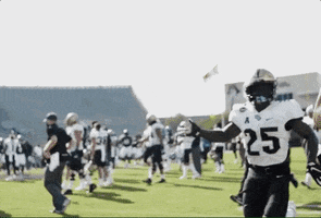 Football GIF by UCF Knights