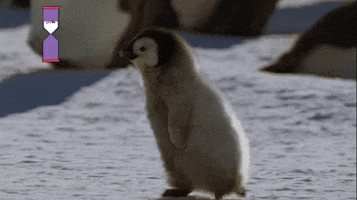 Early Booking Dont Miss It GIF by Camping Qualité