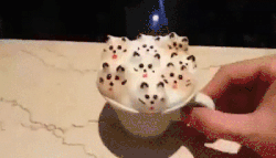 foam
