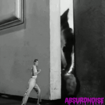 the incredible shrinking man horror movies GIF by absurdnoise