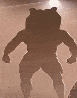 Muscles Bobo The Bear GIF by Bobo Memes