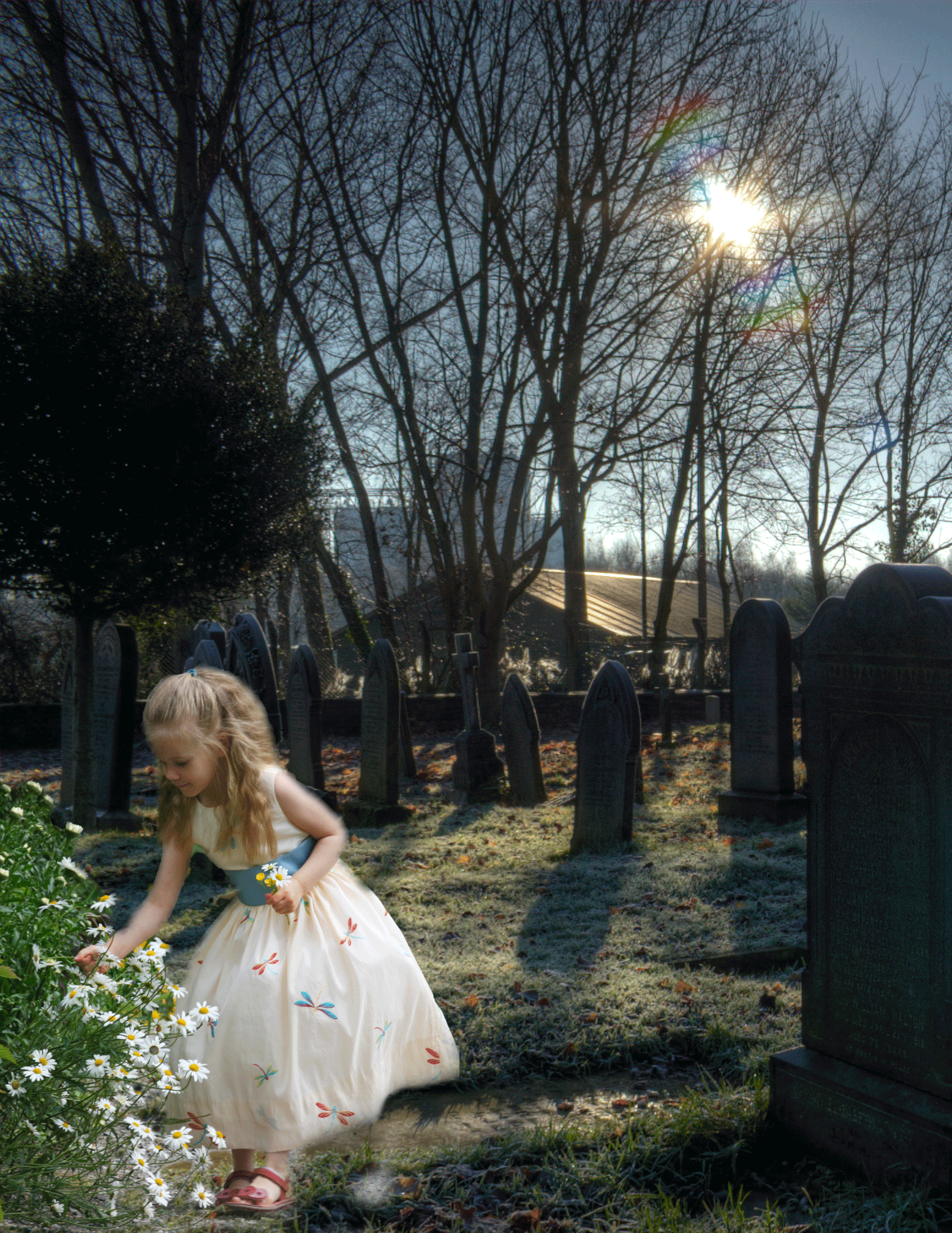 Похожее изображение