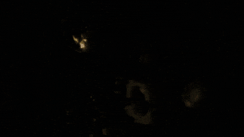 RATP GIF