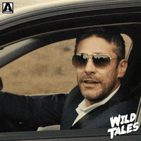 Angry Road Rage GIF by Arrow Video