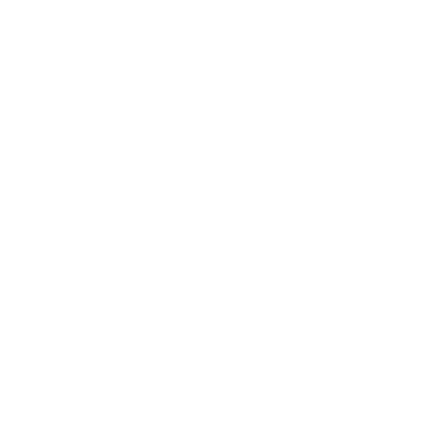 Sanzi Beauty Sticker