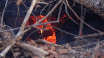 Fire Pit GIF by JC Property Professionals