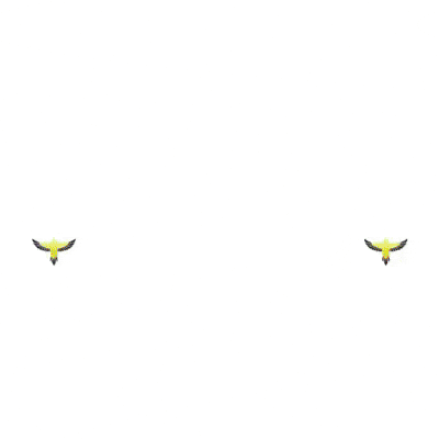 World Cup Soccer GIF by Lincoln Goldfinch Law
