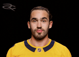 Nashville Predators GIF by Respective