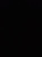Fire Boom GIF by Crowd Multiplier
