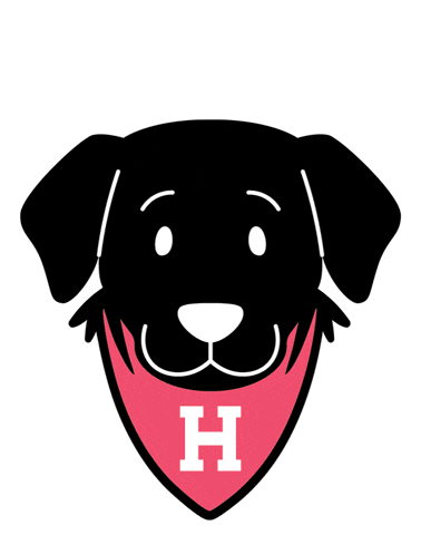Sasha GIF by Harvard Alumni Association