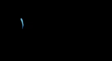 Pool Marketing GIF