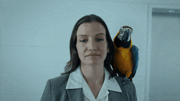 Routine Office Life GIF by PICTON Investments