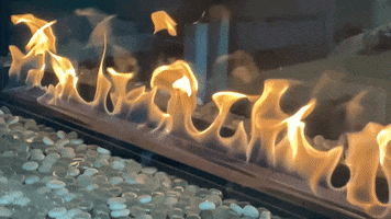 GIF by Colorado State University Admissions