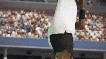 Tennis GIF by 2K Games