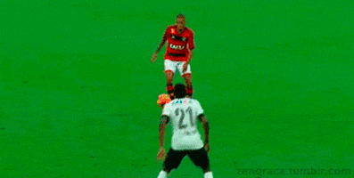 brazilian football GIF by Flamengo