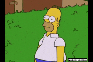 Simpsons Homer GIF