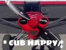 Happy Plane GIF