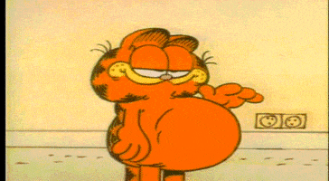 ate too much garfield GIF