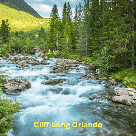 Cliff Long Orlando GIF