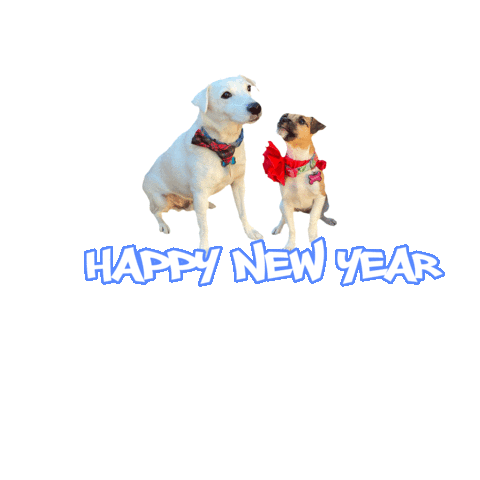 Happy New Year Dogs Sticker by TORRESgraphics
