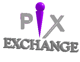 PIX Exchange Sticker
