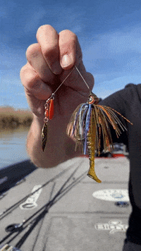 Bass Fishing GIF by Lunkerville