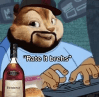 Computer Squirrel GIF