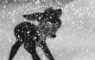 Cartoon gif. Black and white baby Bambi looks up with big sad eyes, and a big tear falls down his cheek. Snow falls around him like a blizzard.