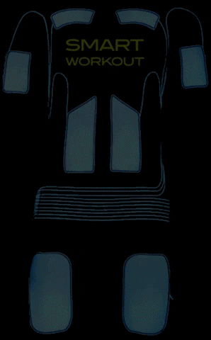 Ems GIF
