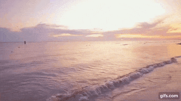 Sea GIF by Camport