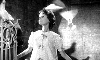 Eyes Without A Face GIF