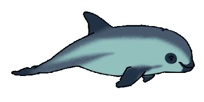 Purpose Vaquita Sticker