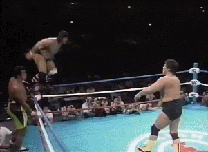 Wrestling GIF