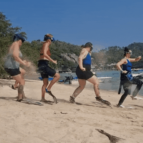 Run Running GIF by Conservation Diver