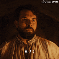 Tom Cullen What GIF by Becoming Elizabeth
