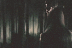 damon and elena