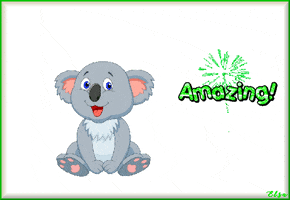 Koala Bear Animated Card GIF