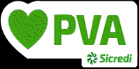 pva meaning, definitions, synonyms