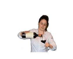 Horeca Harderwijk Sticker by DeBoterlap