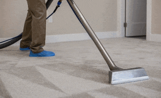 Carpet Cleaning Plainsboro Nj GIF