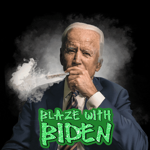 Joe Biden Weed GIF by Creative Courage