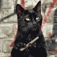 gatto GIF