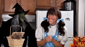 Happy Wizard Of Oz GIF by Amy Lynn's Kitchen