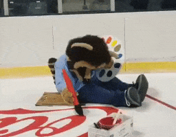 Texas Stars Hockey GIF