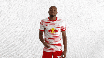 I Told You What GIF by RB Leipzig