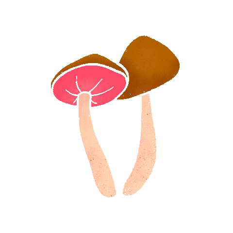 Fall Mushrooms Sticker by Emilia Desert