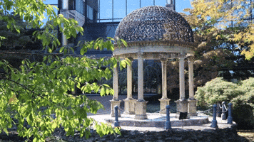 GIF by Drexel University, Elkins Park Campus