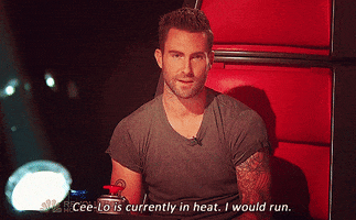 adam levine stuff coaches say GIF by The Voice