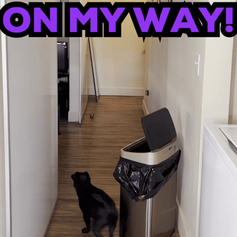 Leaving On My Way GIF