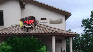 house ufo GIF by The NGB